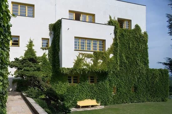 Villa Muller