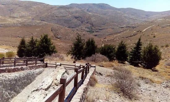 Petrified Forest of Lesbos