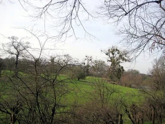 Friedhof-Rheinberg-Orsoy.Bendstege