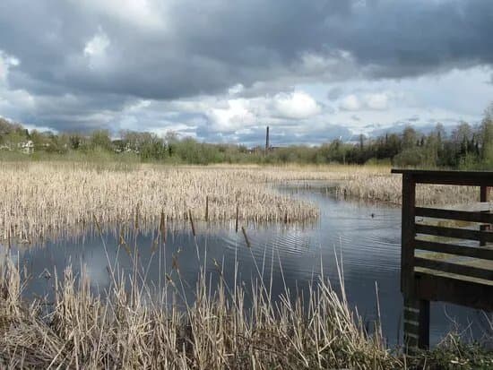 Westfields Wetlands