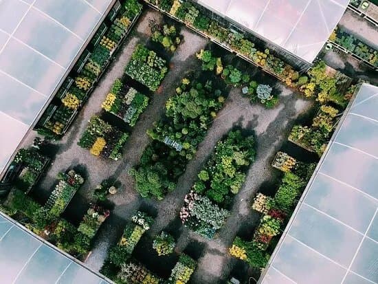 Premier Plants Of Ledsham