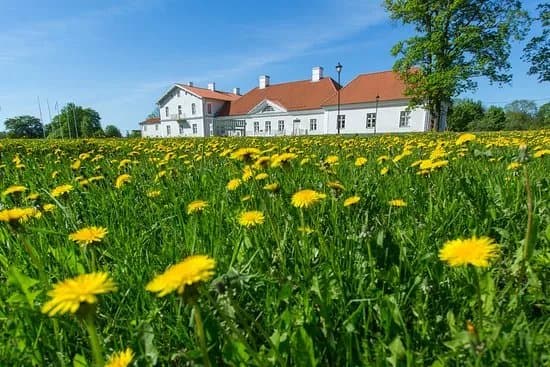 Kukruse Polar Manor