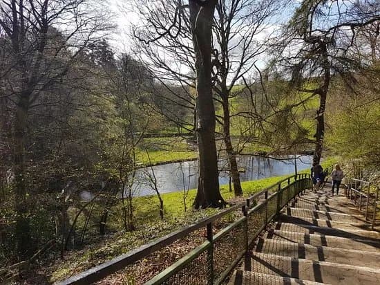 St. Patrick's Well