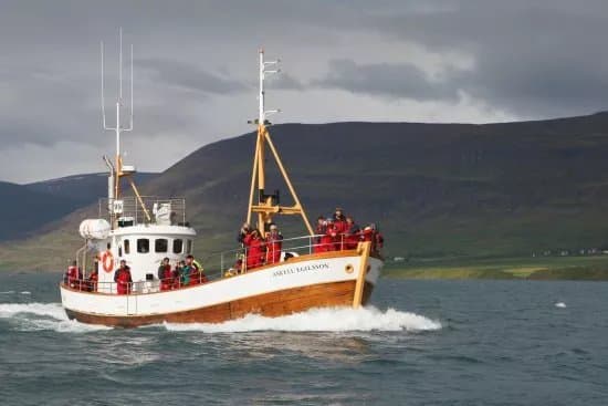 Keli Sea Tours