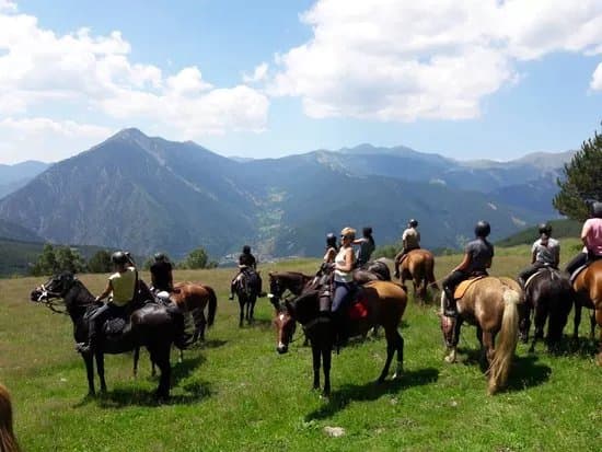 L'Aldosa Horse Center & Trails