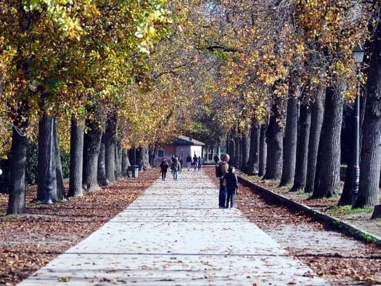 Le Mura di Lucca