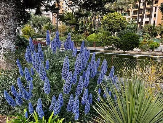 Jardin Aux Canards
