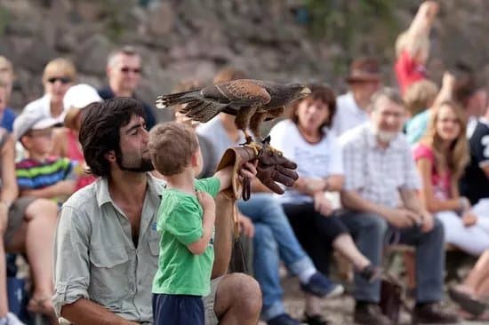 La Volerie des Aigles