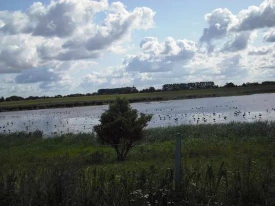 Elbfahre Gluckstadt-Wischhafen