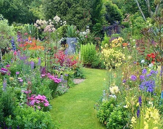 Ardan Garden