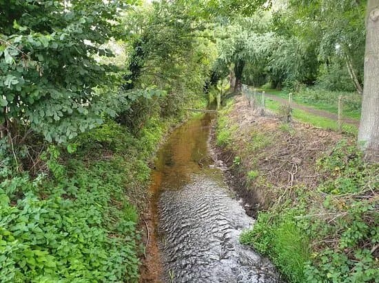 St Aiden*s Park Nature Reserve.