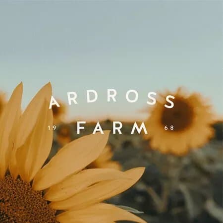 Ardross Farm