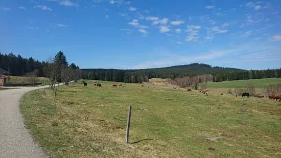 Kvilda - The source of Vltava