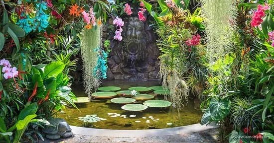 Giardini La Mortella