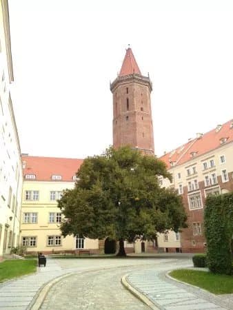 Piast Castle