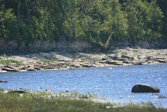 Viidumae Nature Reserve
