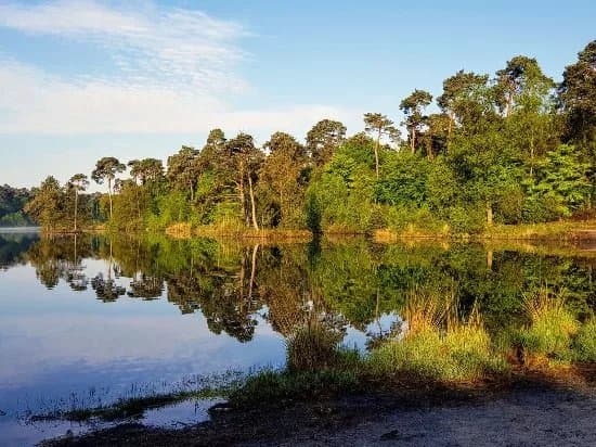 Oisterwijkse Bossen en Vennen