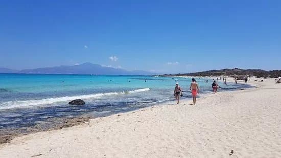 Chrissi Island