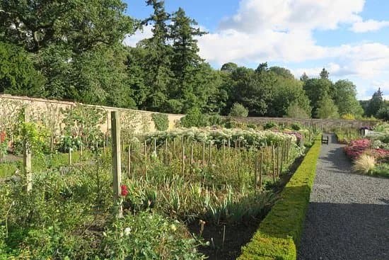 Mertoun Gardens