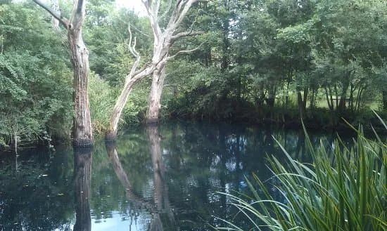 Wassell Grove Fisheries