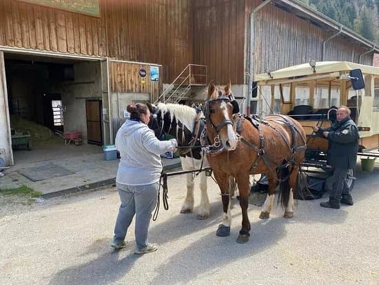 Ferme Des Granges-rouges