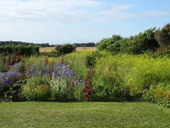 De Zelfpluktuin