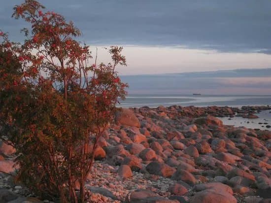 Kihnu Island