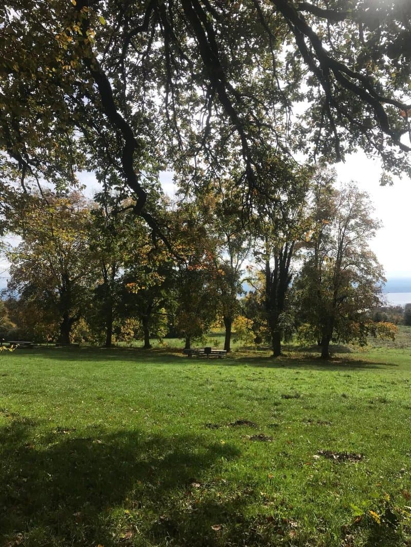 Parc De Pierre-a-bot
