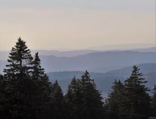 Reserve Naturelle de la Haute Chaine du Jura