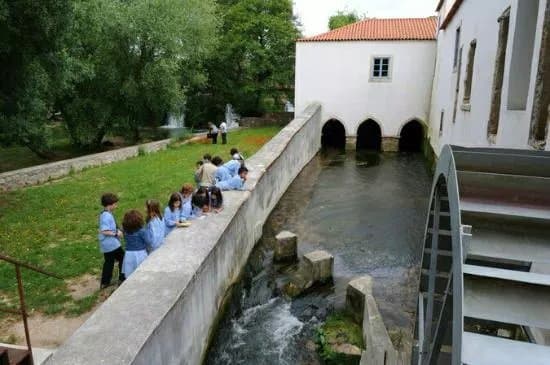 Mimo - Museu Da Imagem Em Movimento