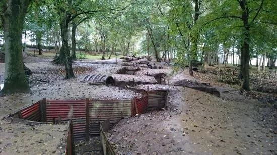 Sanctuary Wood