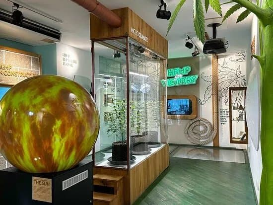 Cannabis Museum Amsterdam