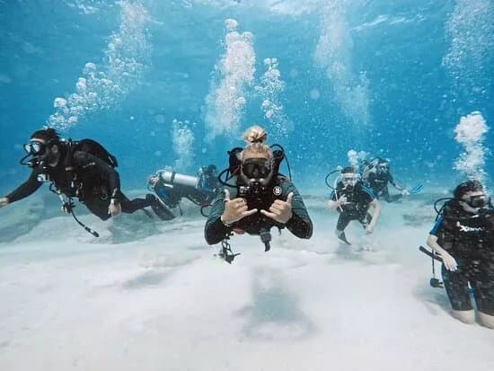 Aquanaut Diving School