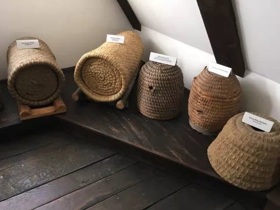 Institut fuer Bienenkunde (Laves)
