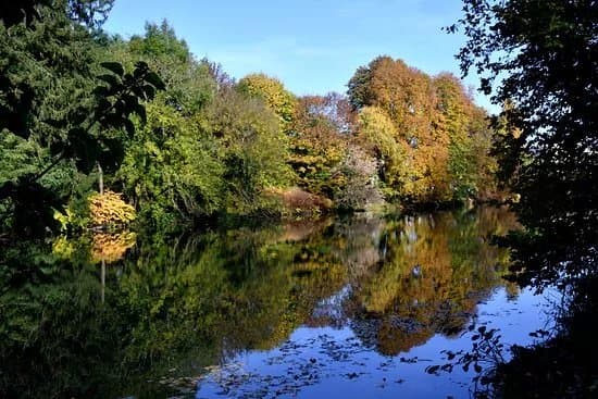 Parc Pres la Rose