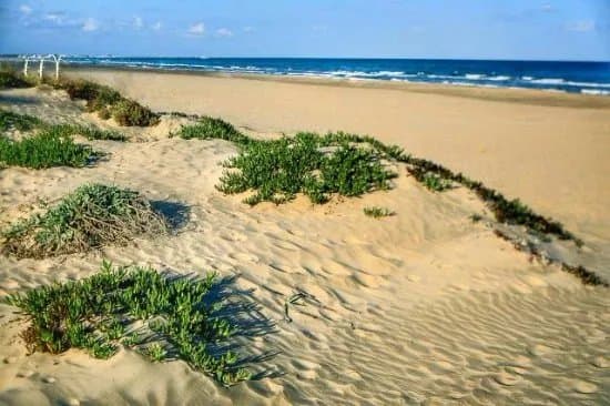 Platja de Canet