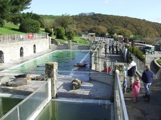 Cornish Seal Sanctuary,SEA LIFE Trust