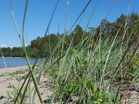 Grondalen