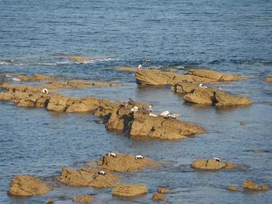 Seaton Sluice Beach