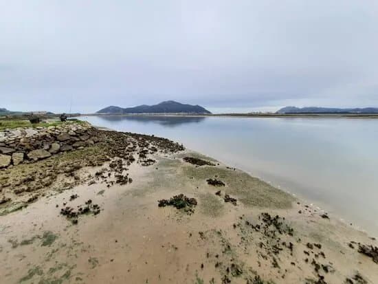 Parque Natural Marismas de Santona