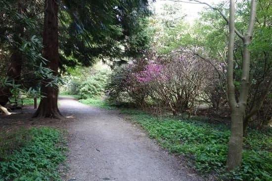 Forstbotanisk Have