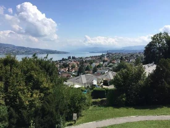 Park im Gruene