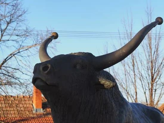 Magyar Szurkemarha Szobra