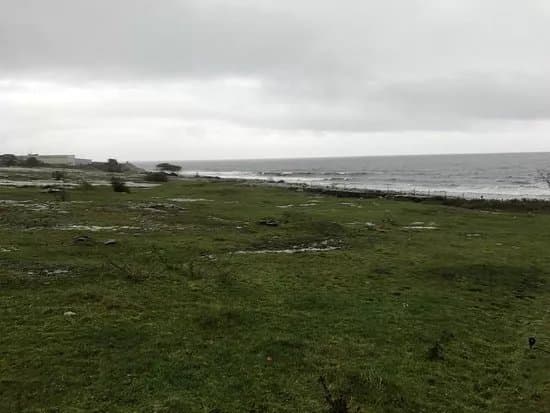 Horsahallen's Rock Carving Area