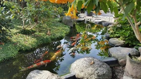 Zen Garden