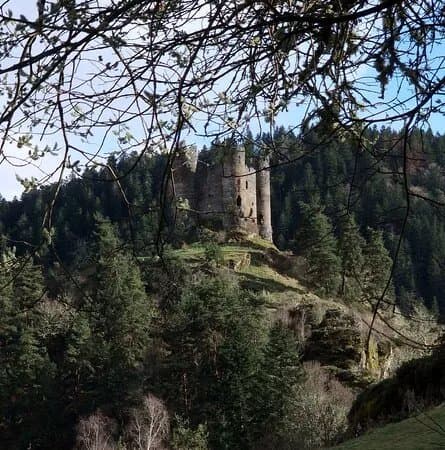Chateau D'alleuze