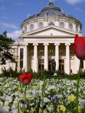 Cultural Travel & Tours