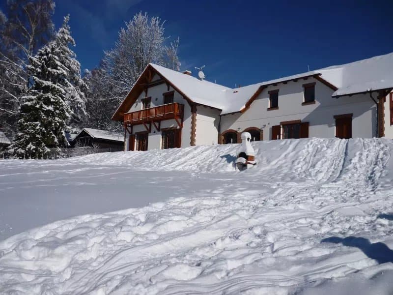 VILLA VICTORIA large house - Lipno ski & lake area