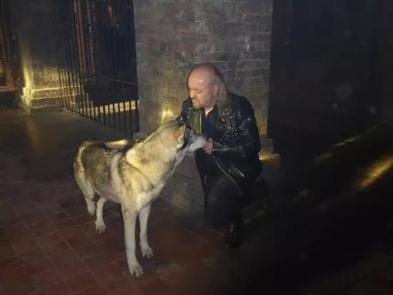 Watermill Wolves Wolf-dog Actors