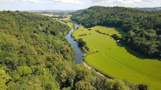 The Forest Of Dean